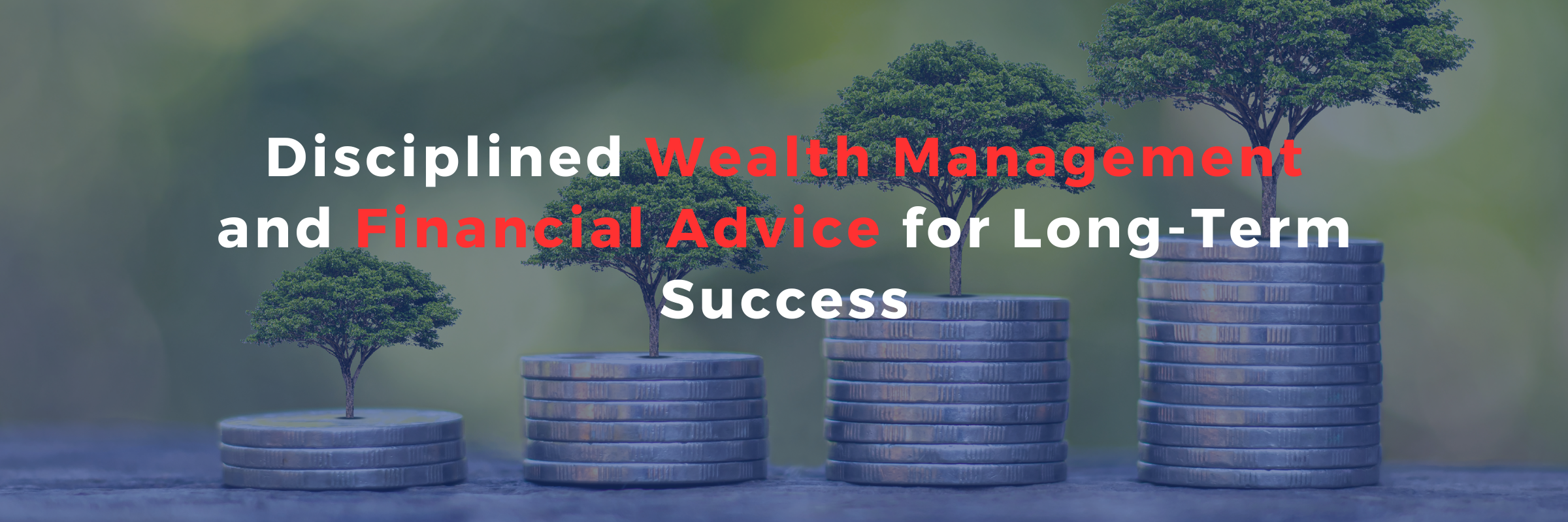 Disciplined Wealth Management and Financial Advice for Long-Term Success